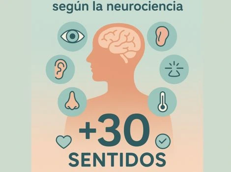 mas de 30 sentidos segun la neurociencia