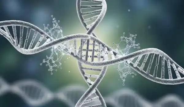 la respiracion y la quimica del cuerpo